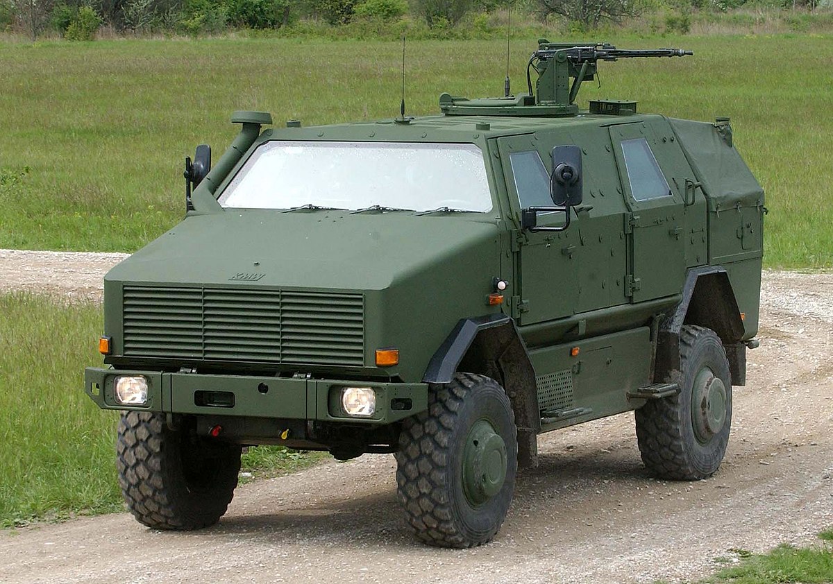 Dingo_2